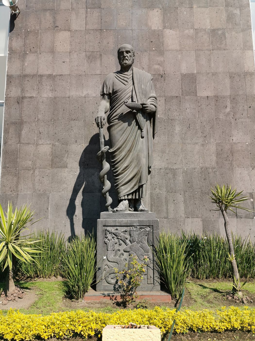 A standing statue of Hippocrates in a robe on a carved plinth, set in a planted bed before a stone wall.